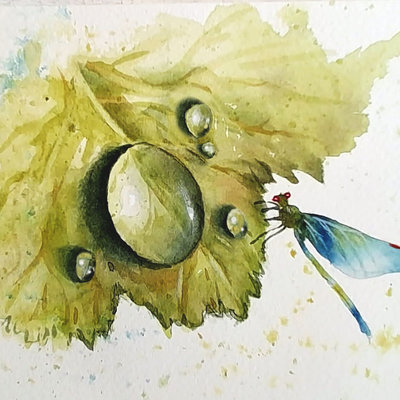 "Dewdrops & Dragonflies" in Watercolor