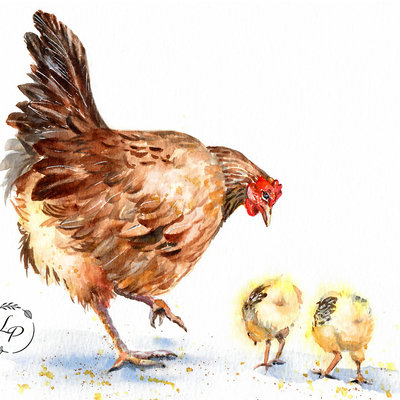 "Mother Hen" in Watercolor