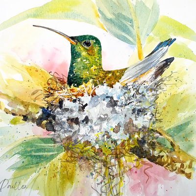 Hummingbird Nest"