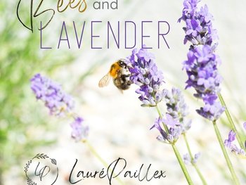 "Bees and Lavender"