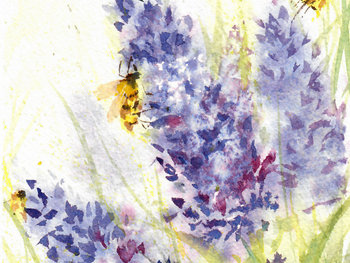 "Bees and Lavender"