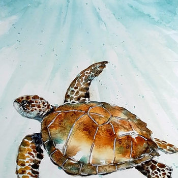 "Sea Turtle" in Watercolor