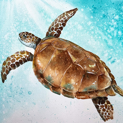 "Sea Turtle" in Watercolor