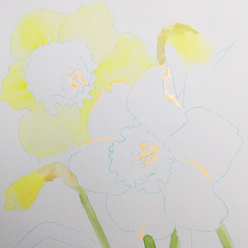 "Joyful Jonquils"
