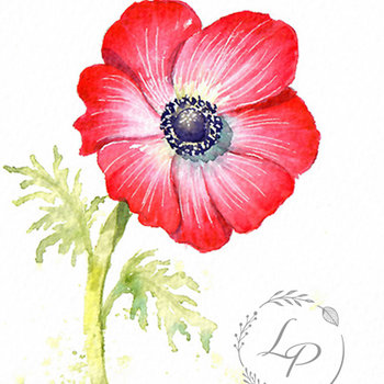 "Old Glory" Floral Study